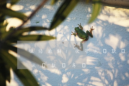 征信逾期1次可以貸款嗎(征信有1次逾期可以貸款買房嗎)