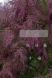 征信逾期1次還能申請(qǐng)辦信用卡嘛-征信逾期1次還能申請(qǐng)辦信用卡嘛