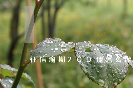 征信逾期200塊怎么辦
