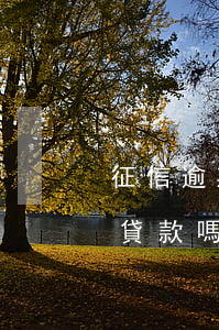 征信逾期20次能貸款嗎(逾期20多次可以貸款嗎)