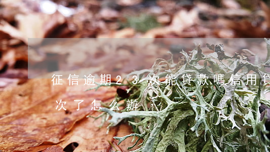 征信逾期23次能貸款嗎(信用貸款逾期了三次了怎么辦)