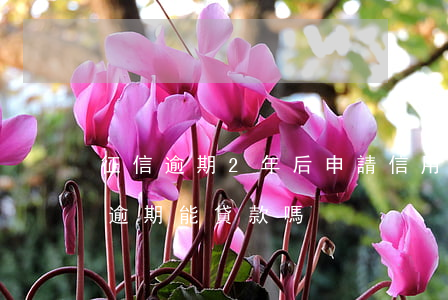 征信逾期2年后申請信用卡(信用卡2年前有逾期能貸款嗎)