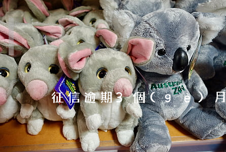 征信逾期3個(gè)月能貸款嗎