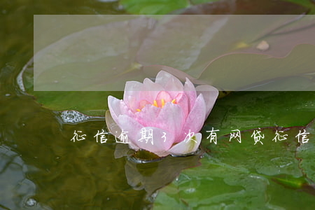 征信逾期3次有网贷(征信逾期三次严重吗)