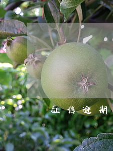 征信逾期500塊錢咋辦（征信幾百塊逾期）