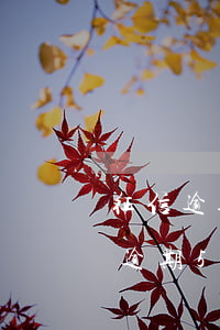 征信逾期5個(gè)月能辦房貸嗎-征信逾期5個(gè)月能辦房貸嗎知乎