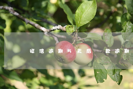 征信逾期5天后還款(逾期還清后5年后征信)