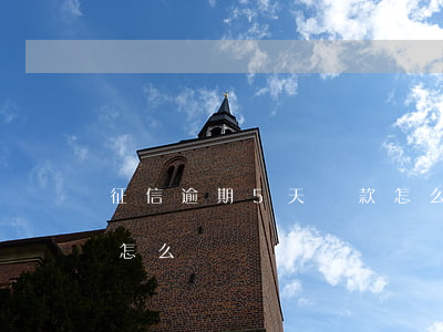 征信逾期5天還款怎么辦(逾期5天上征信了怎么辦)