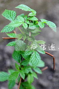 征信逾期5年了還信用卡還是被拒
