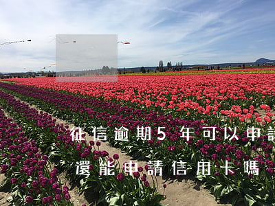 征信逾期5年可以申請信用卡嗎(征信過5年還能申請信用卡嗎)