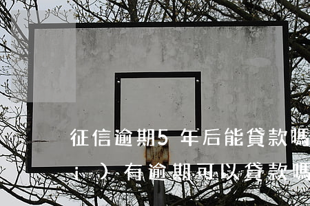 征信逾期5年后能貸款嗎(征信五年內(nèi)有逾期可以貸款嗎)
