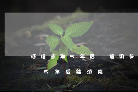 征信逾期5年后辦信用卡（信用卡逾期征信記錄5年后能消除）