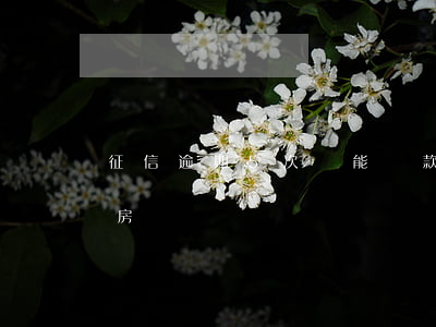 征信逾期5次還能貸款嗎(征信逾期5次還能房貸嗎)