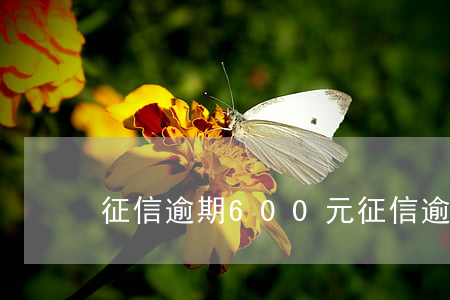 征信逾期600元(征信逾期幾百塊)