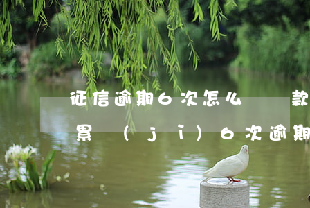 征信逾期6次怎么辦貸款(個(gè)人征信累計(jì)6次逾期怎么辦)