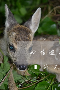 征信逾期6次貸不房貸嗎(征信累計逾期6次銀行不給貸款)
