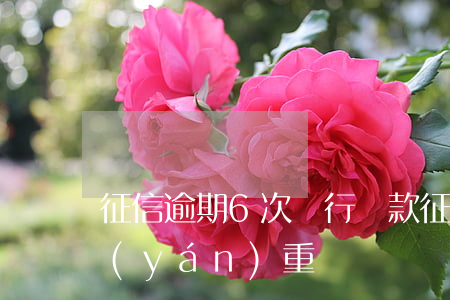 征信逾期6次銀行貸款(征信上有6次逾期嚴(yán)重嗎)