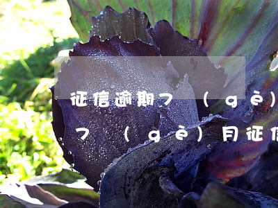 征信逾期7個(gè)月的后果（信用卡逾期7個(gè)月征信什么樣）
