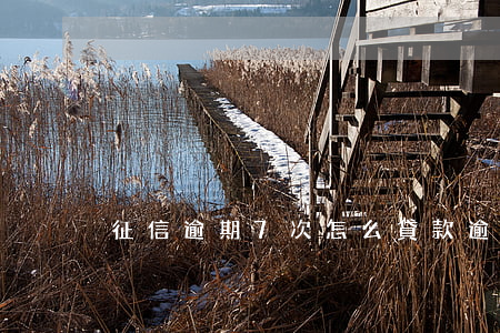 征信逾期7次怎么貸款(逾期7次可以貸款嗎)