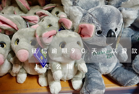 征信逾期90天可以貸款(征信逾期90天以上怎么辦)