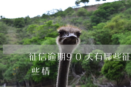 征信逾期90天有哪些 征信逾期90天有哪些情況
