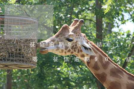 征信逾期90天結(jié)清能辦信用卡嗎-征信逾期90天結(jié)清能辦信用卡嗎有影響嗎