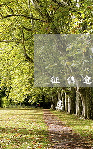 征信逾期90天能房貸嗎(征信逾期90天能房貸嗎)