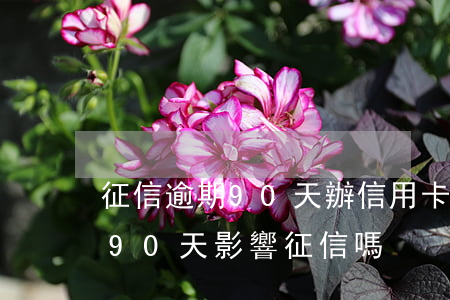 征信逾期90天辦信用卡(信用卡逾期沒超過90天影響征信嗎)