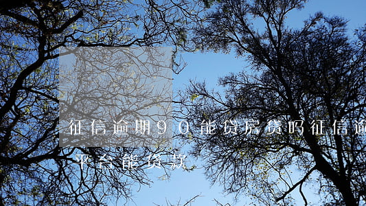 征信逾期90能贷房贷吗(征信逾期严重,,,哪个平台能贷款)