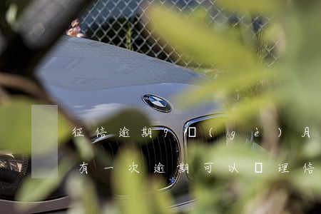 征信逾期9個(gè)月能辦信用卡嗎(征信有一次逾期可以辦理信用卡嗎)