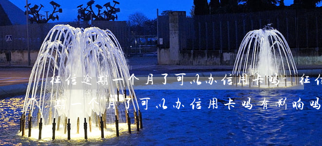 征信逾期一个月了可以办信用卡吗-征信逾期一个月了可以办信用卡吗有影响吗