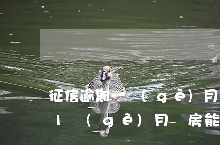 征信逾期一個(gè)月能房貸嗎(征信逾期1個(gè)月買房能貸款)