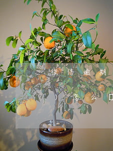征信逾期一個(gè)月還不上會(huì)怎么樣-征信逾期一個(gè)月還不上會(huì)怎么樣嗎