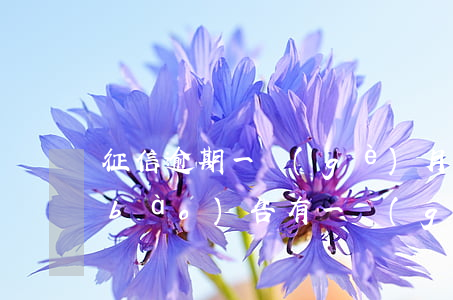 征信逾期一個(gè)月還能貸款(征信報(bào)告有一個(gè)月逾期還可以在銀行貸款嗎)