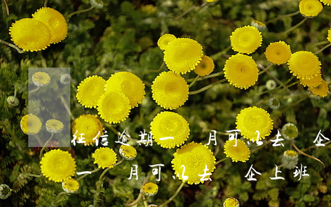 征信逾期一個月可以去國企上班-征信逾期一個月可以去國企上班嗎