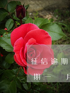 征信逾期一個月可以辦理信用卡嗎-征信逾期一個月可以辦理信用卡嗎有影響嗎