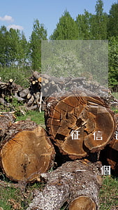 征信逾期一個月多久能恢復征信-征信逾期一個月多久能恢復征信記錄
