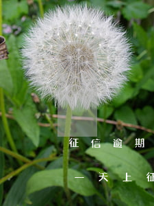 征信逾期一天上征信多久能消除-征信逾期一天上征信多久能消除記錄