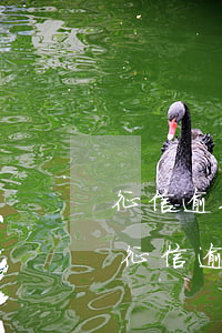征信逾期一天會影響后續(xù)貸款嗎-征信逾期一天會影響后續(xù)貸款嗎知乎