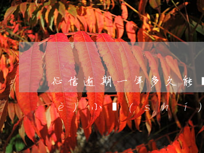 征信逾期一年多久能貸款(貸款逾期幾個(gè)小時(shí)會(huì)上征信嗎)
