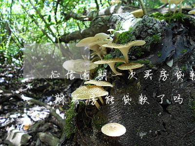 征信逾期一次买房贷款吗(个人征信有两次逾期买房能贷款了吗)