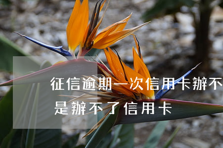 征信逾期一次信用卡辦不了(征信有逾期是不是辦不了信用卡)