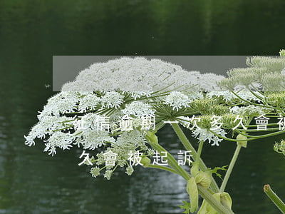 征信逾期一次多久會被起訴 征信逾期一次多久會被起訴