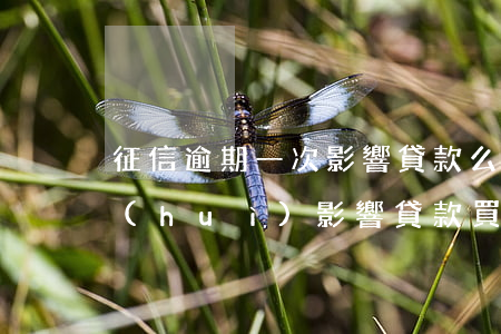 征信逾期一次影響貸款么(征信逾期多少次會(huì)影響貸款買房)