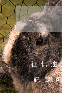 征信逾期一次能辦信用卡嗎(征信有一條逾期記錄可以申請信用卡嗎)