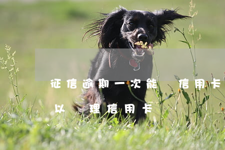 征信逾期一次能辦信用卡(征信有一個逾期可以辦理信用卡嗎?)