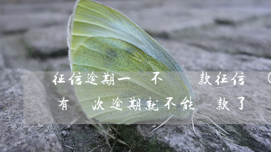 征信逾期一筆不給貸款(征信報(bào)告有幾次逾期就不能貸款了)