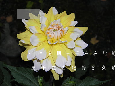 征信逾期三千左右記錄多久消除-征信逾期三千左右記錄多久消除掉