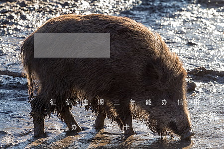 征信逾期三年能办信用卡吗(三年前有逾期还能办信用卡吗)