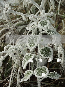 征信逾期三次可以貸款嗎(三年逾期三次可以貸款嗎)